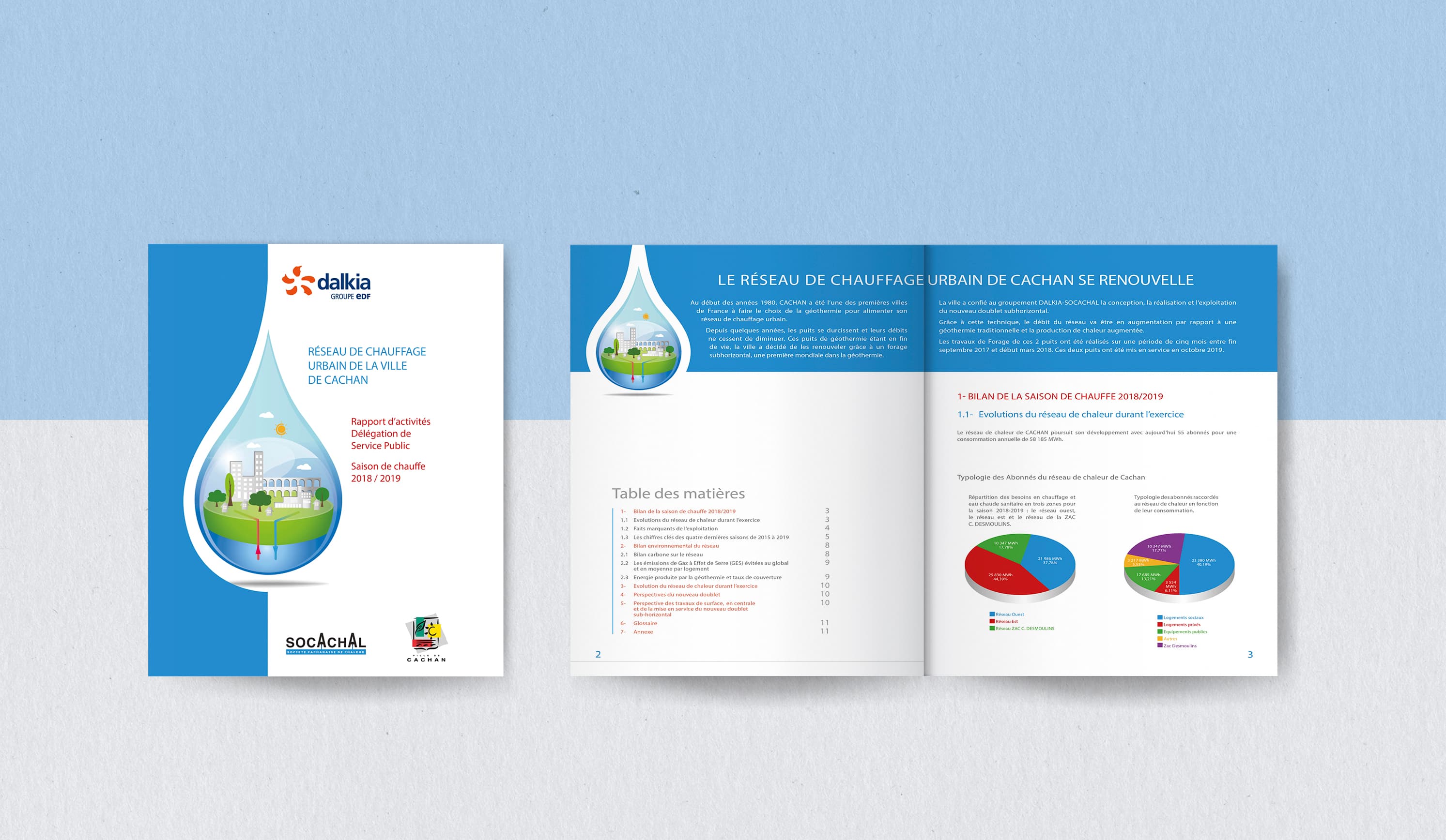 Rapport activite DALKIA